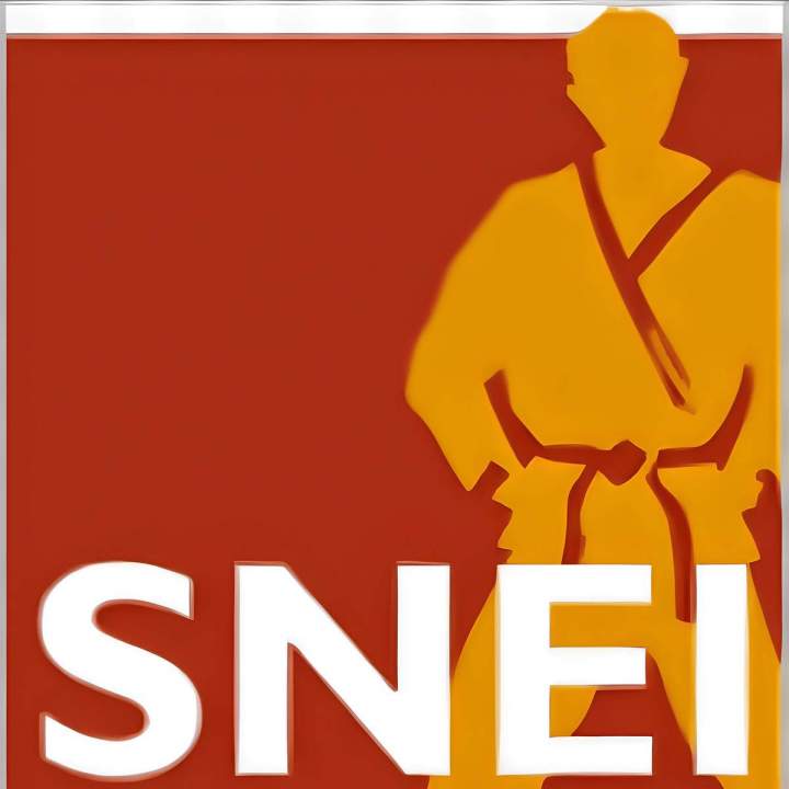 Logo SNEI
