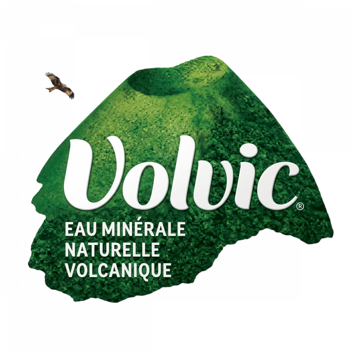 Logo Velvic
